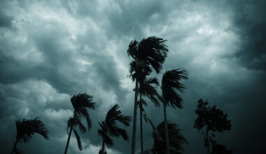 After the storm