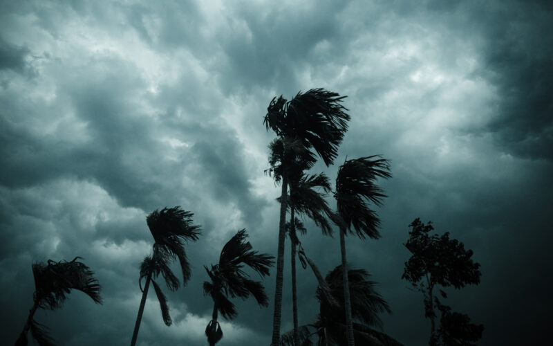 After the storm