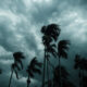 After the storm